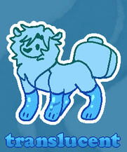 Translucent
